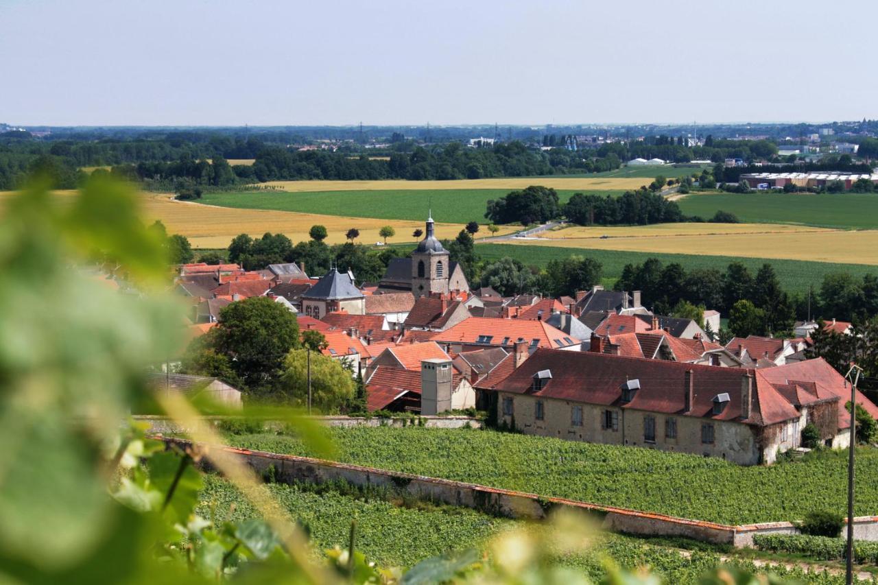 Champagne Philippe Martin Bed & Breakfast Cumieres Dış mekan fotoğraf